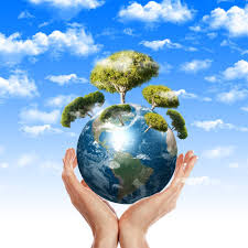 environnement