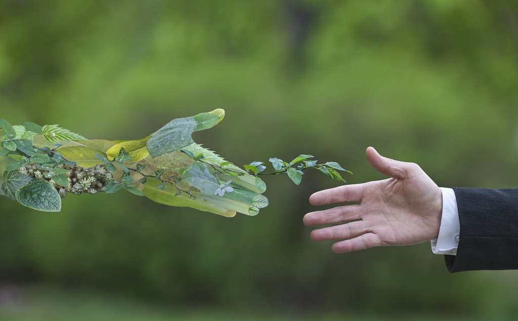 étude d'impact sur l'environnement Tunisie