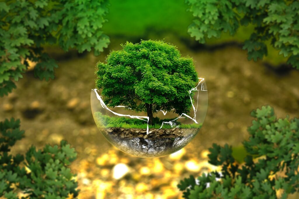 protection environnemental