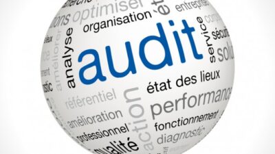 audit interne