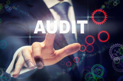 audit interne