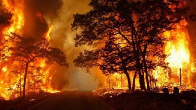 la formation de recherche et détermination des causes d'incendie